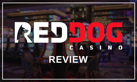red dog casino online apk
